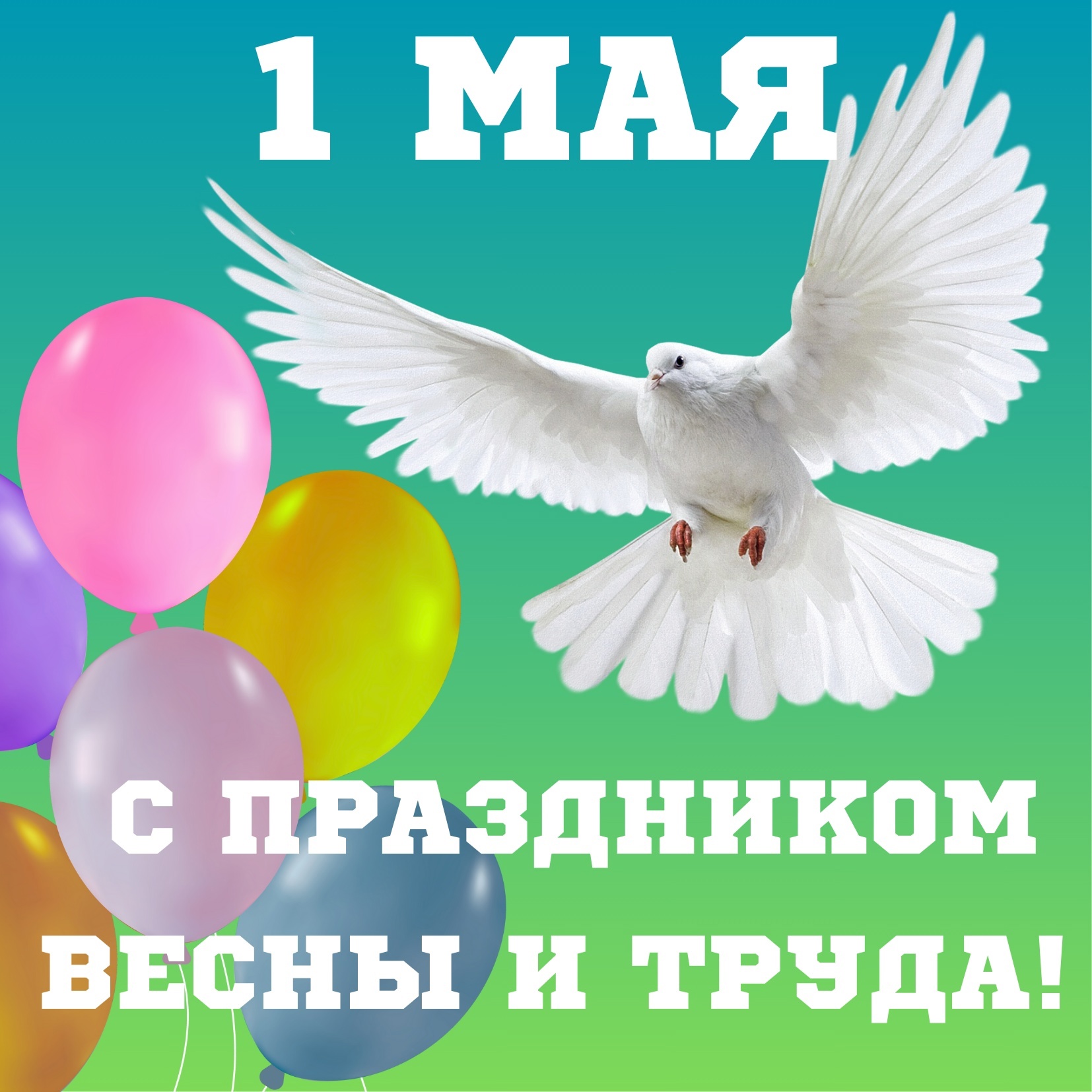 c 1 мая!