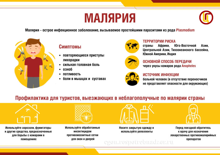 День борьбы против малярии